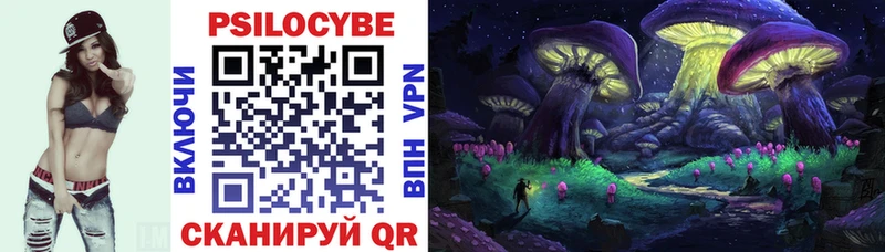 Купить где  Чегем  Галлюциногенные грибы Cubensis 